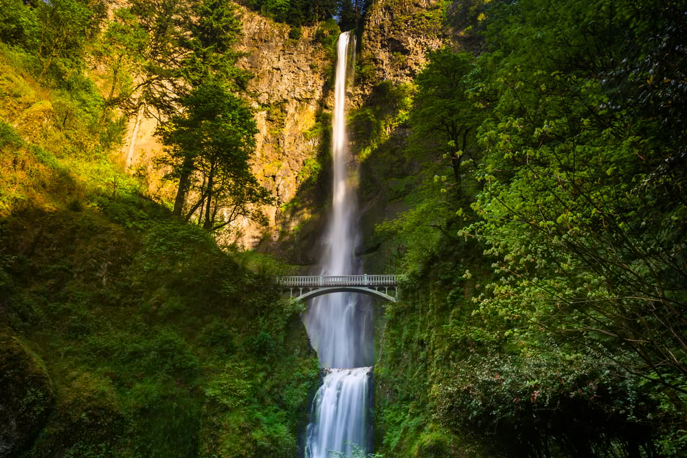 Multnomah Falls and bridge, in the Columbia River Gorge, Oregon. Multnomah Falls and bridge, in the Columbia River Gorge, Oregon.