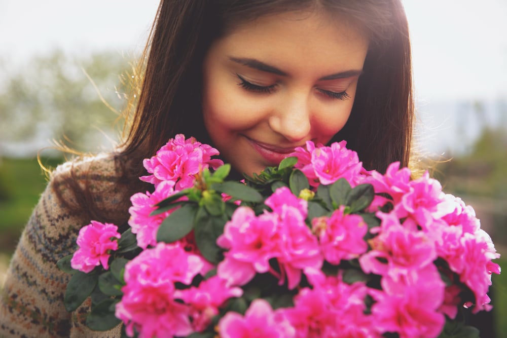 Young cute woman smelling pink flowers Young cute woman smelling pink flowers